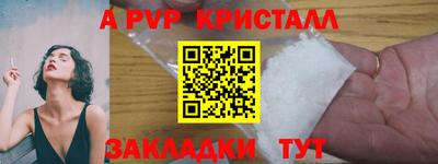 стаф Дубна
