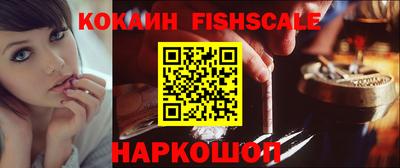 стаф Дубна