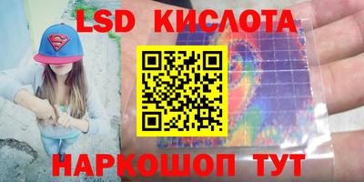 стаф Дубна