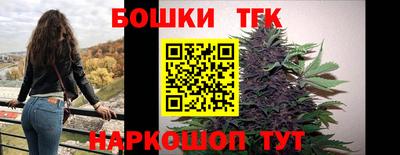 стаф Дубна