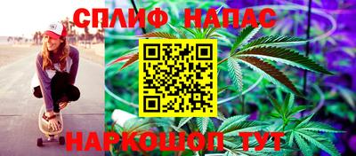 стаф Дубна