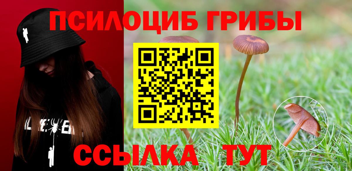 Галлюциногенные грибы прущие грибы  Вход с VPN  Волоколамск 