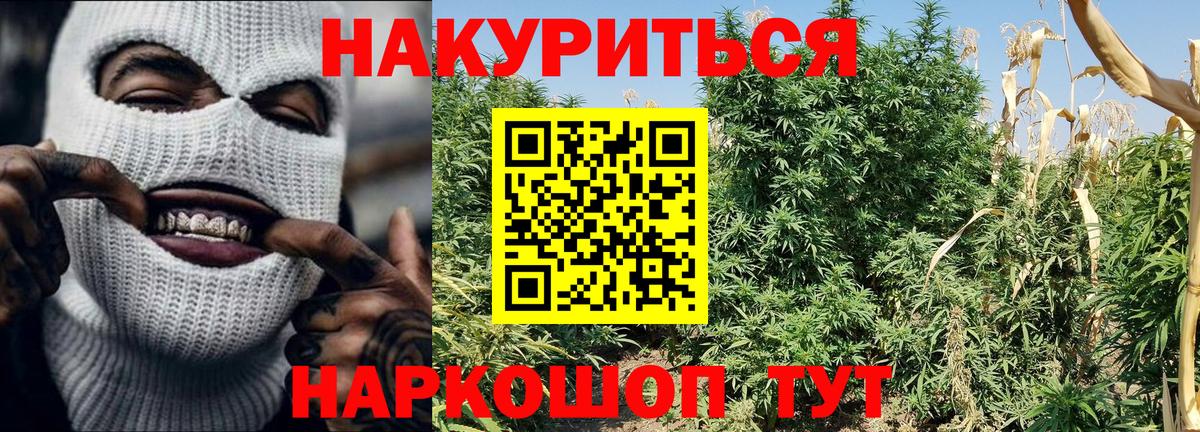 Конопля AK-47 Волоколамск